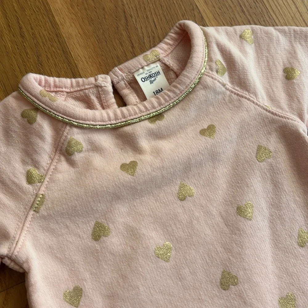 18M OshKosh B'Gosh Pink Dress